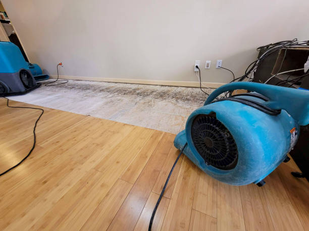 Professional Flood Damage Cleanup technician working in East Quogue, NY